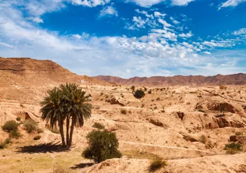 Réservez un ferry pour Tunisie